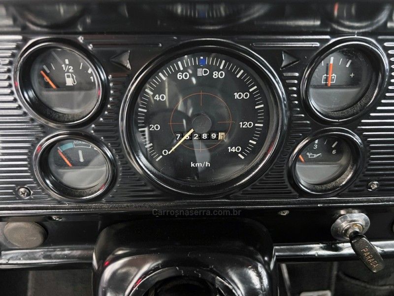 FORD F-1000 3.9 SUPER SÉRIE 4X2 CS 8V TURBO 1982/1983 ÓTIMA CAR FLORES DA CUNHA / Carros no Vale