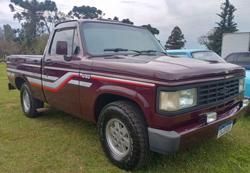 Chevrolet D20 4.0 CUSTOM S CS 8V DIESEL 2P MANUAL 1992/1992 CAMINHÕES & CAMIONETAS PASSO FUNDO / Carros no Vale