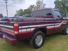 Chevrolet D20 4.0 CUSTOM S CS 8V DIESEL 2P MANUAL 1992/1992 CAMINHÕES & CAMIONETAS PASSO FUNDO / Carros no Vale