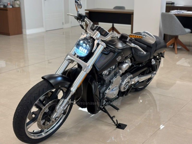 HARLEY-DAVIDSON V-ROD 2016/2016 LUIGGI AUTOMÓVEIS CARLOS BARBOSA / Carros no Vale HARLEY-DAVIDSON V-ROD 2016/2016 LUIGGI AUTOMÓVEIS CARLOS BARBOSA / Carros no Vale