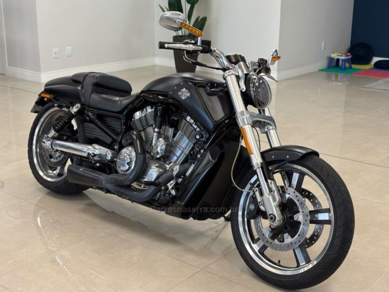 HARLEY-DAVIDSON V-ROD 2016/2016 LUIGGI AUTOMÓVEIS CARLOS BARBOSA / Carros no Vale HARLEY-DAVIDSON V-ROD 2016/2016 LUIGGI AUTOMÓVEIS CARLOS BARBOSA / Carros no Vale