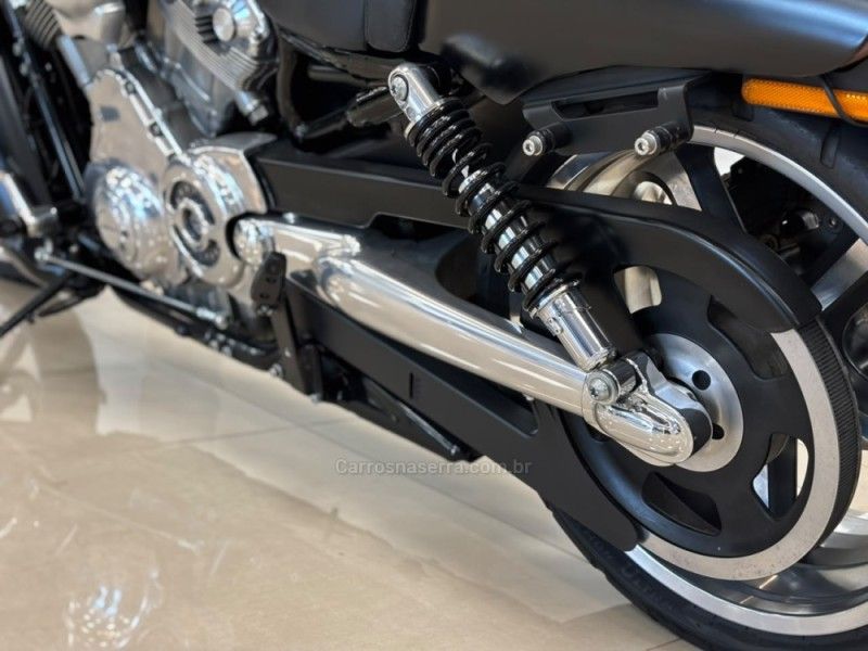 HARLEY-DAVIDSON V-ROD 2016/2016 LUIGGI AUTOMÓVEIS CARLOS BARBOSA / Carros no Vale HARLEY-DAVIDSON V-ROD 2016/2016 LUIGGI AUTOMÓVEIS CARLOS BARBOSA / Carros no Vale