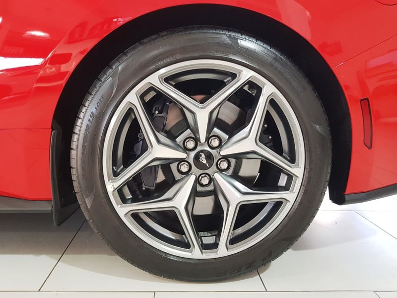 Ford MUSTANG 5.0 V8 GASOLINA GT PERFORMANCE SELECTSHIFT 2024/2024 ADVANT AUTOMÓVEIS CAXIAS DO SUL / Carros no Vale